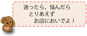 迷ったら、悩んだらとりあえずお店においでよ！